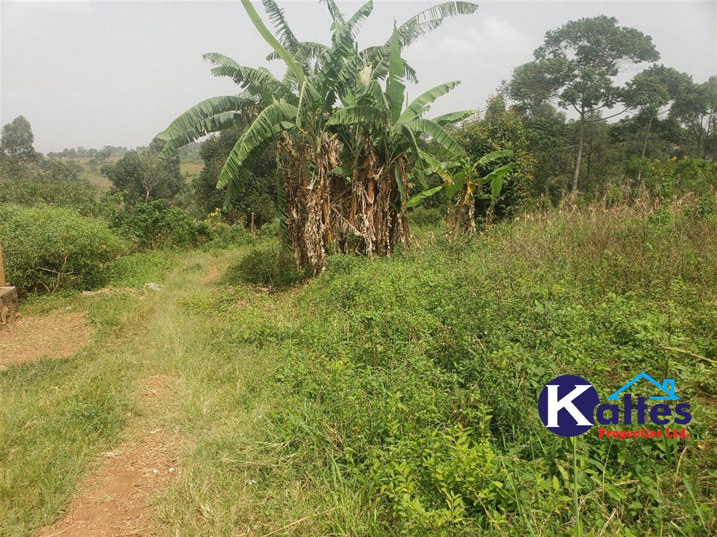 Agricultural Land for sale in Sugu Buyikwe