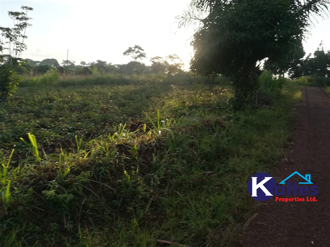 Agricultural Land for sale in Bubiro Buyikwe