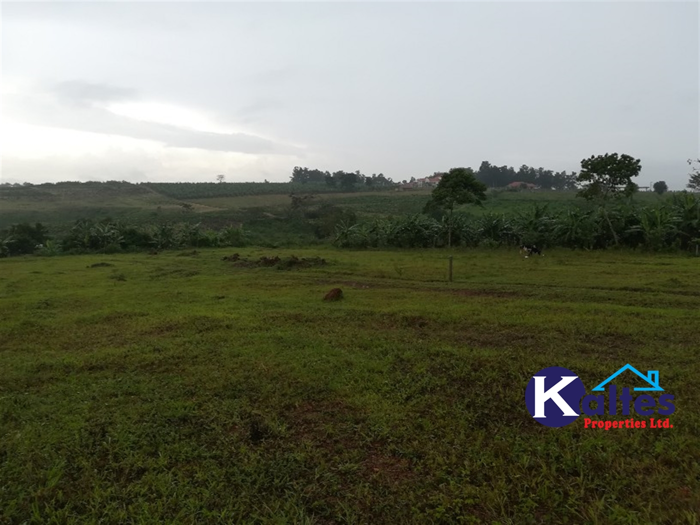 Agricultural Land for sale in Bubwa Buyikwe