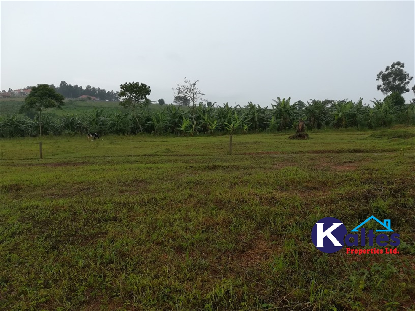 Agricultural Land for sale in Bubwa Buyikwe