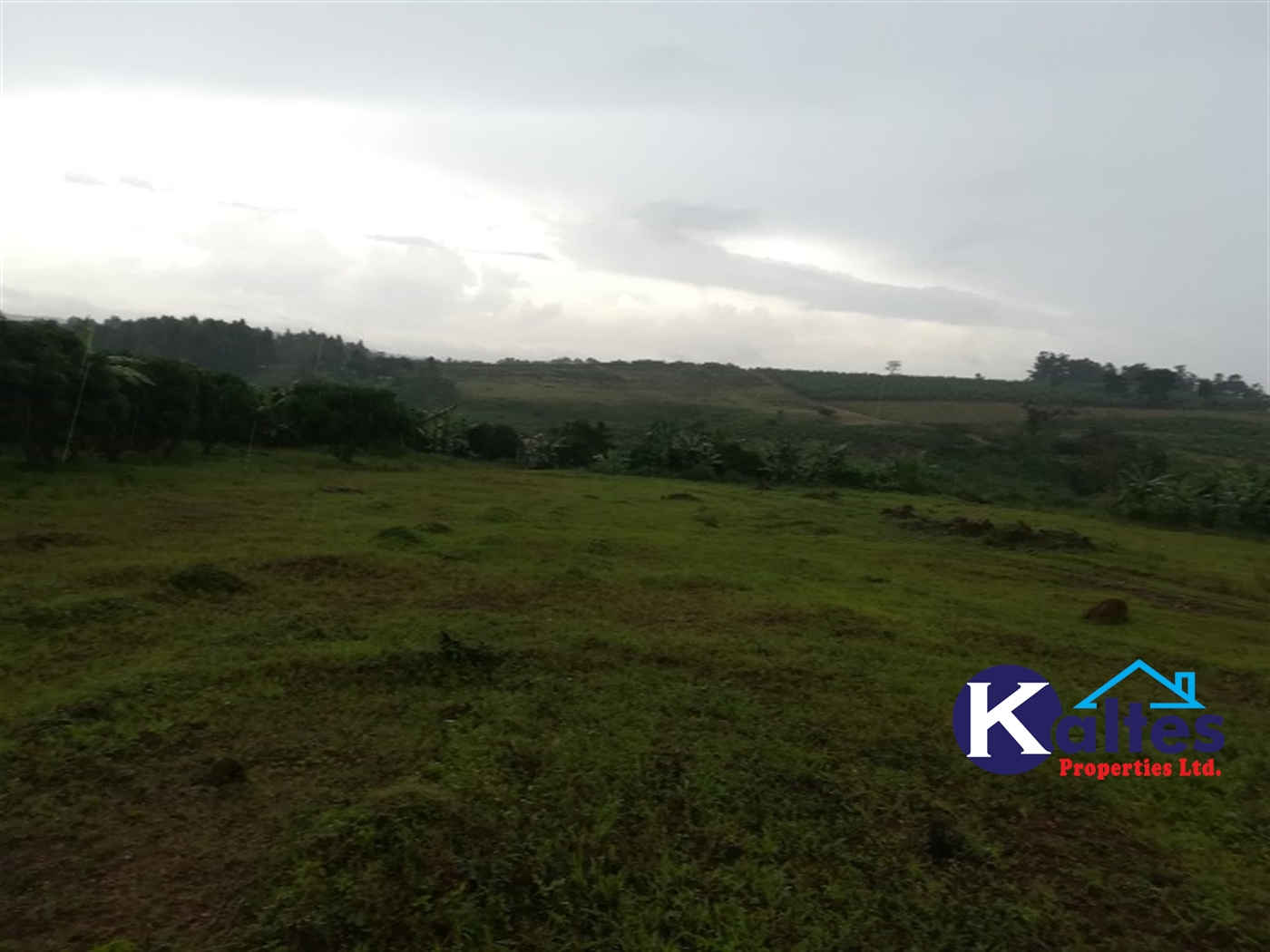 Agricultural Land for sale in Bubwa Buyikwe