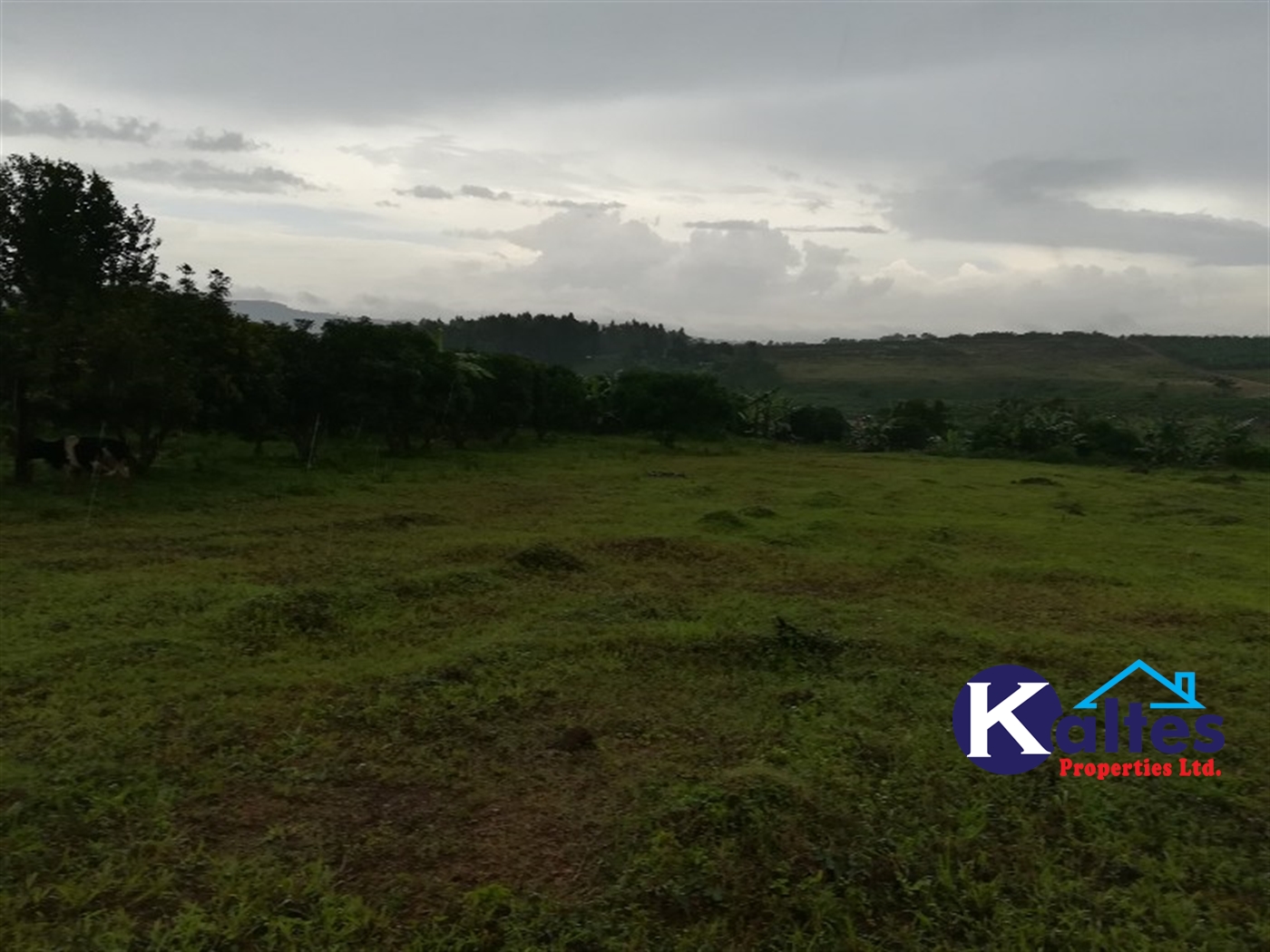 Agricultural Land for sale in Bubwa Buyikwe