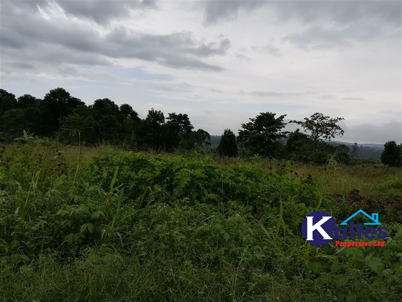 Agricultural Land for sale in Bubwa Buyikwe