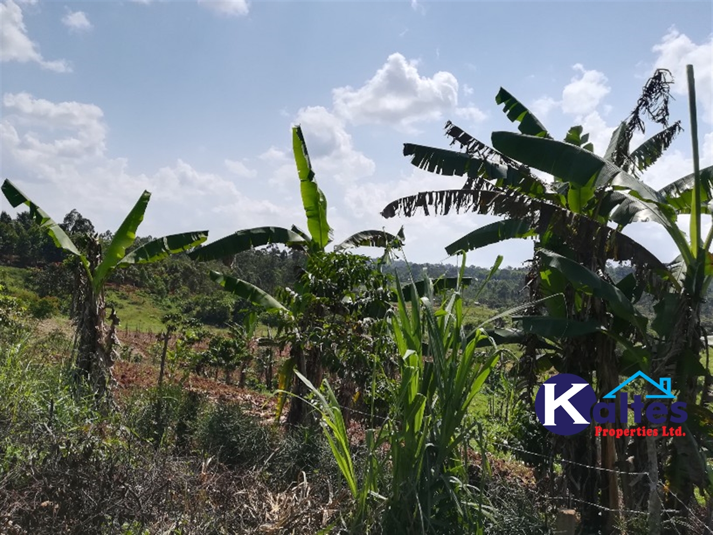 Agricultural Land for sale in Bugule Buyikwe