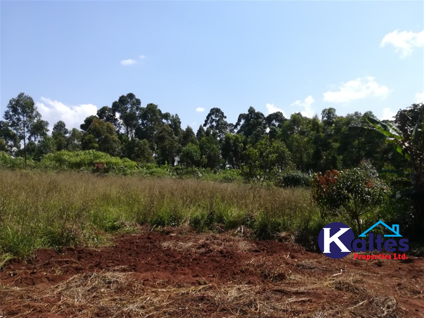 Agricultural Land for sale in Bukubizi Buyikwe