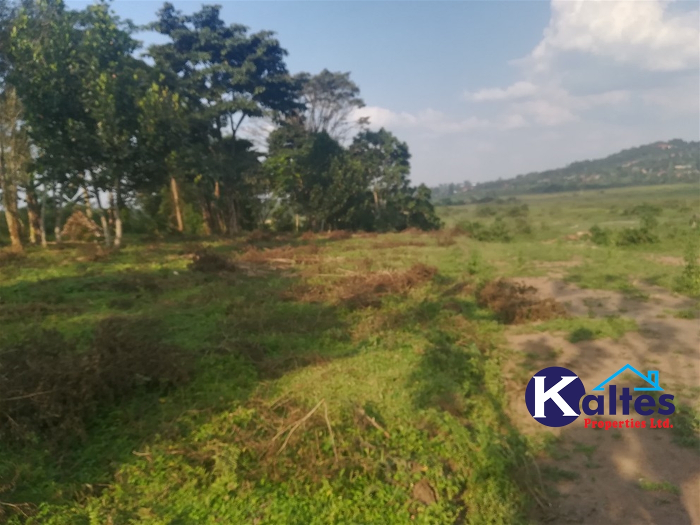 Agricultural Land for sale in Senyi Buyikwe