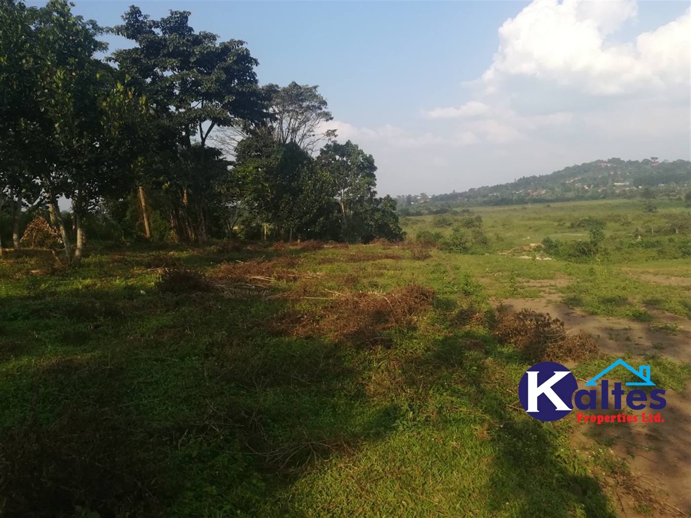 Agricultural Land for sale in Senyi Buyikwe