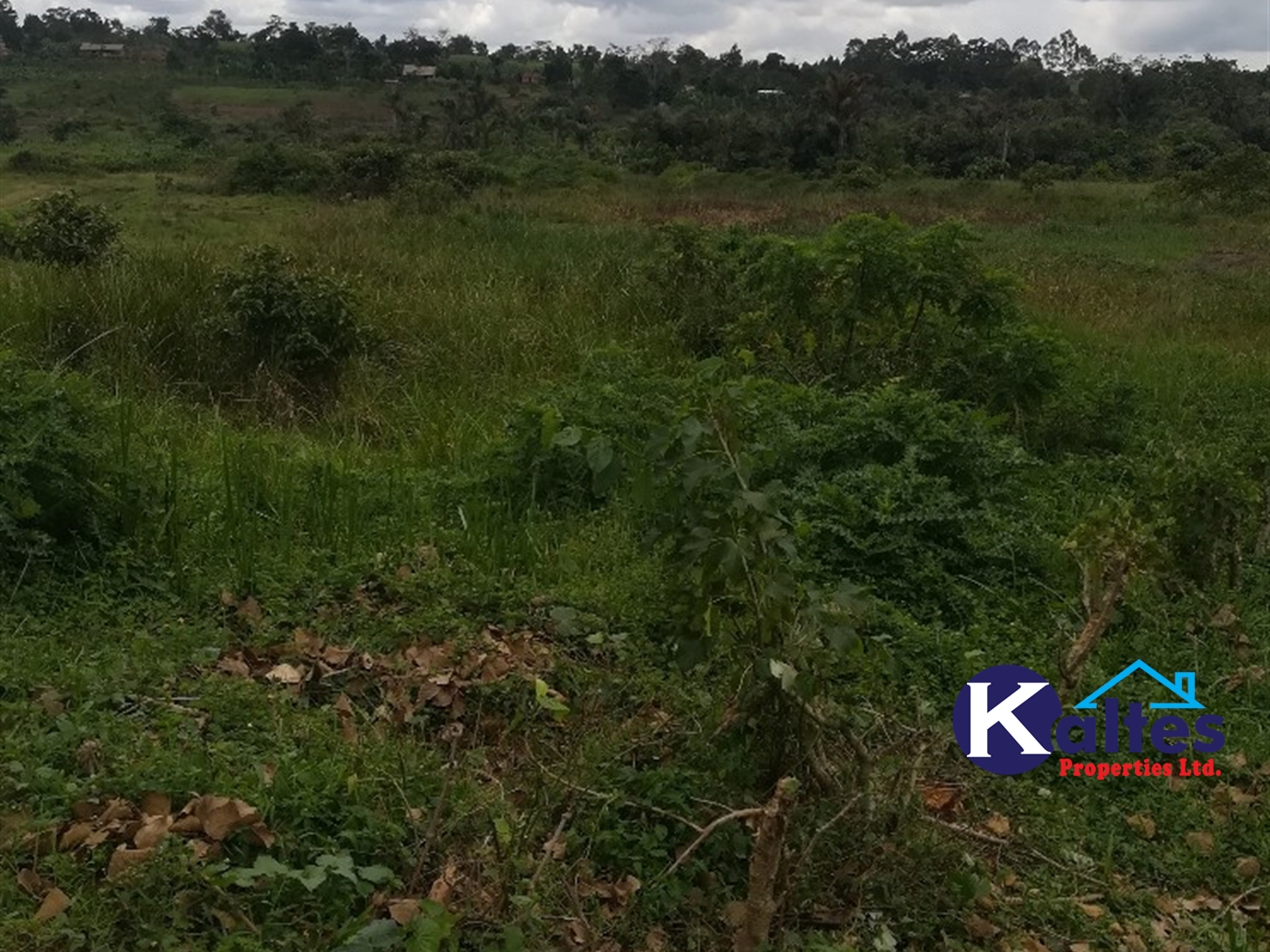 Agricultural Land for sale in Tebalowoza Buyikwe