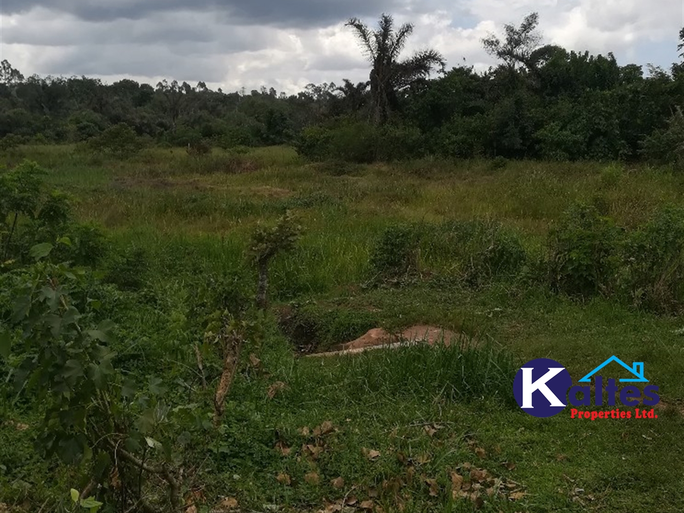 Agricultural Land for sale in Tebalowoza Buyikwe