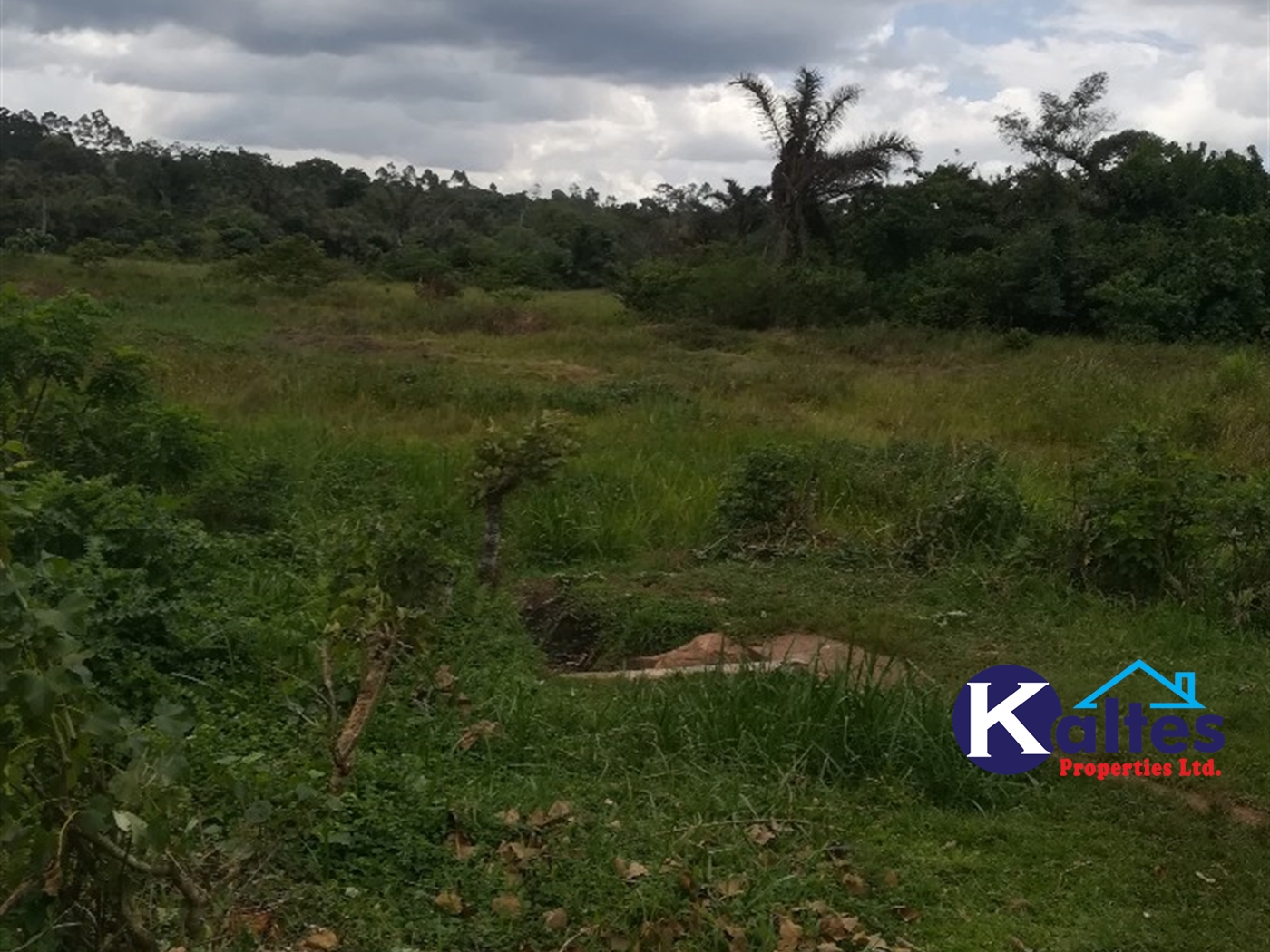 Agricultural Land for sale in Tebalowoza Buyikwe