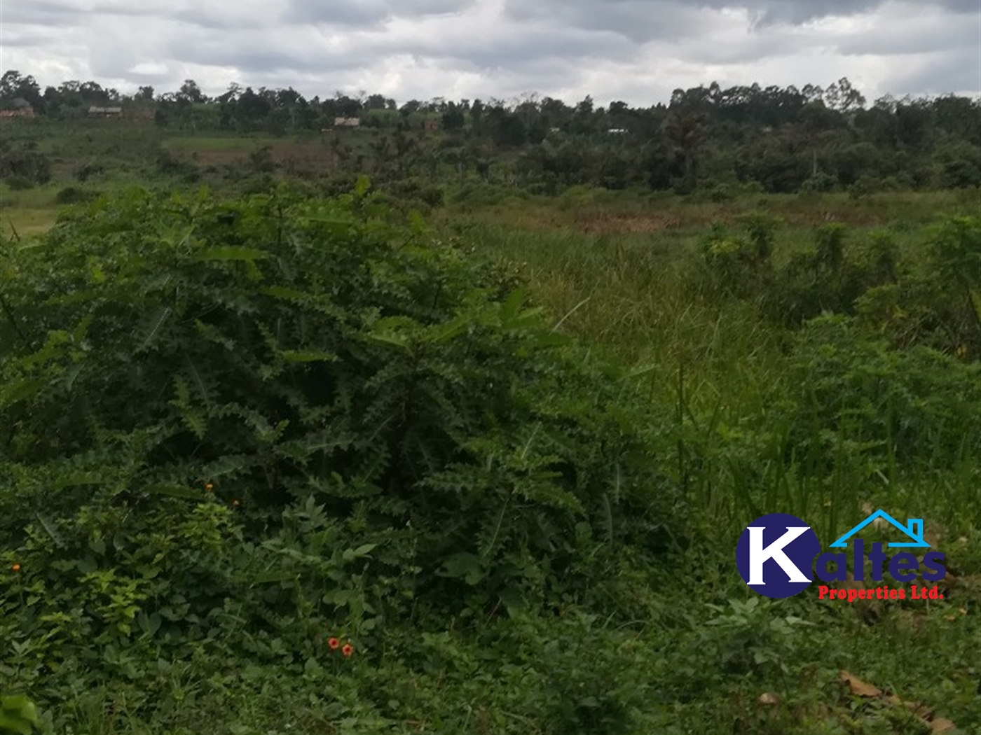 Agricultural Land for sale in Tebalowoza Buyikwe