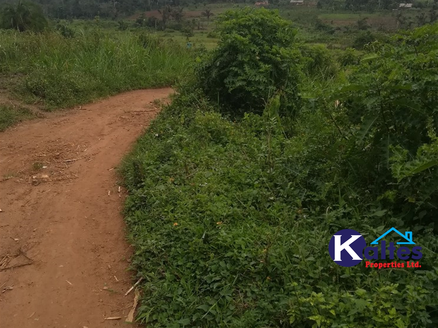 Agricultural Land for sale in Tebalowoza Buyikwe