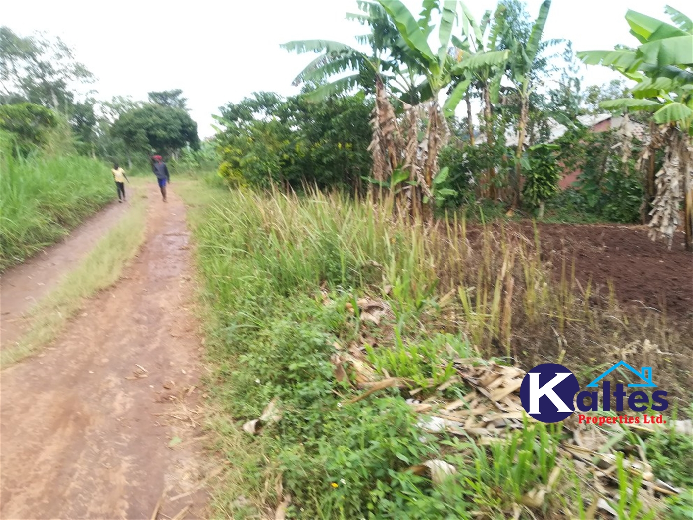 Agricultural Land for sale in Tebalowoza Buyikwe