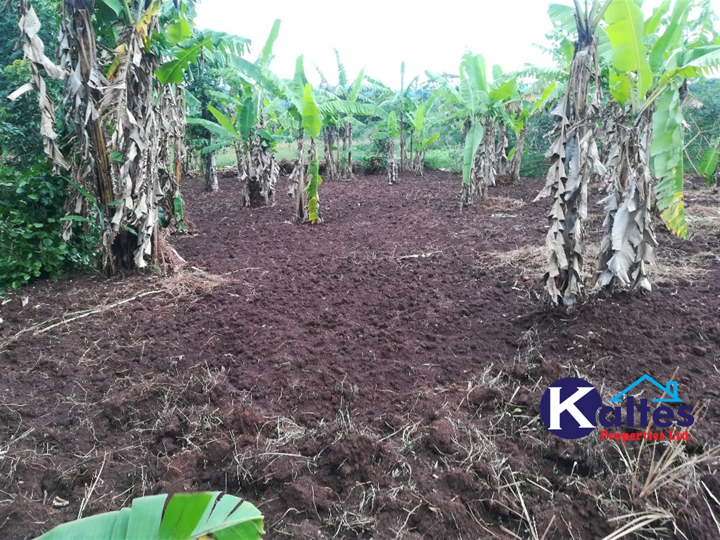 Agricultural Land for sale in Tebalowoza Buyikwe