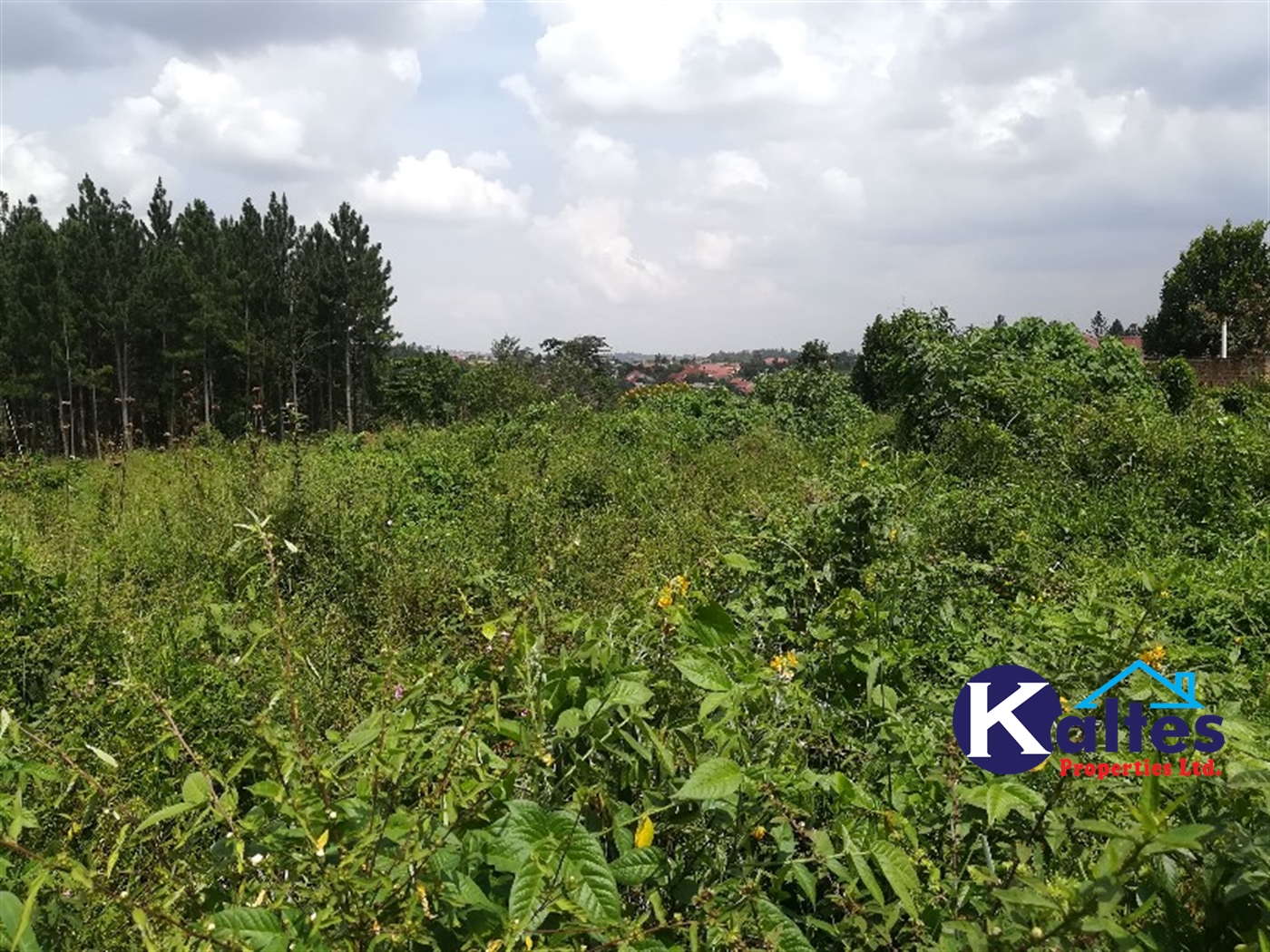 Residential Land for sale in Kalagi Mukono