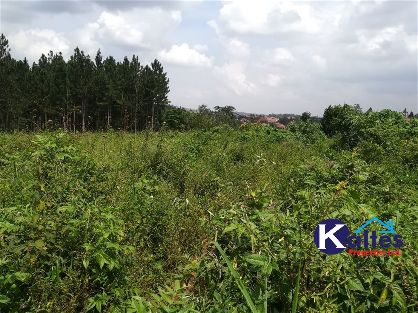 Residential Land for sale in Kalagi Mukono