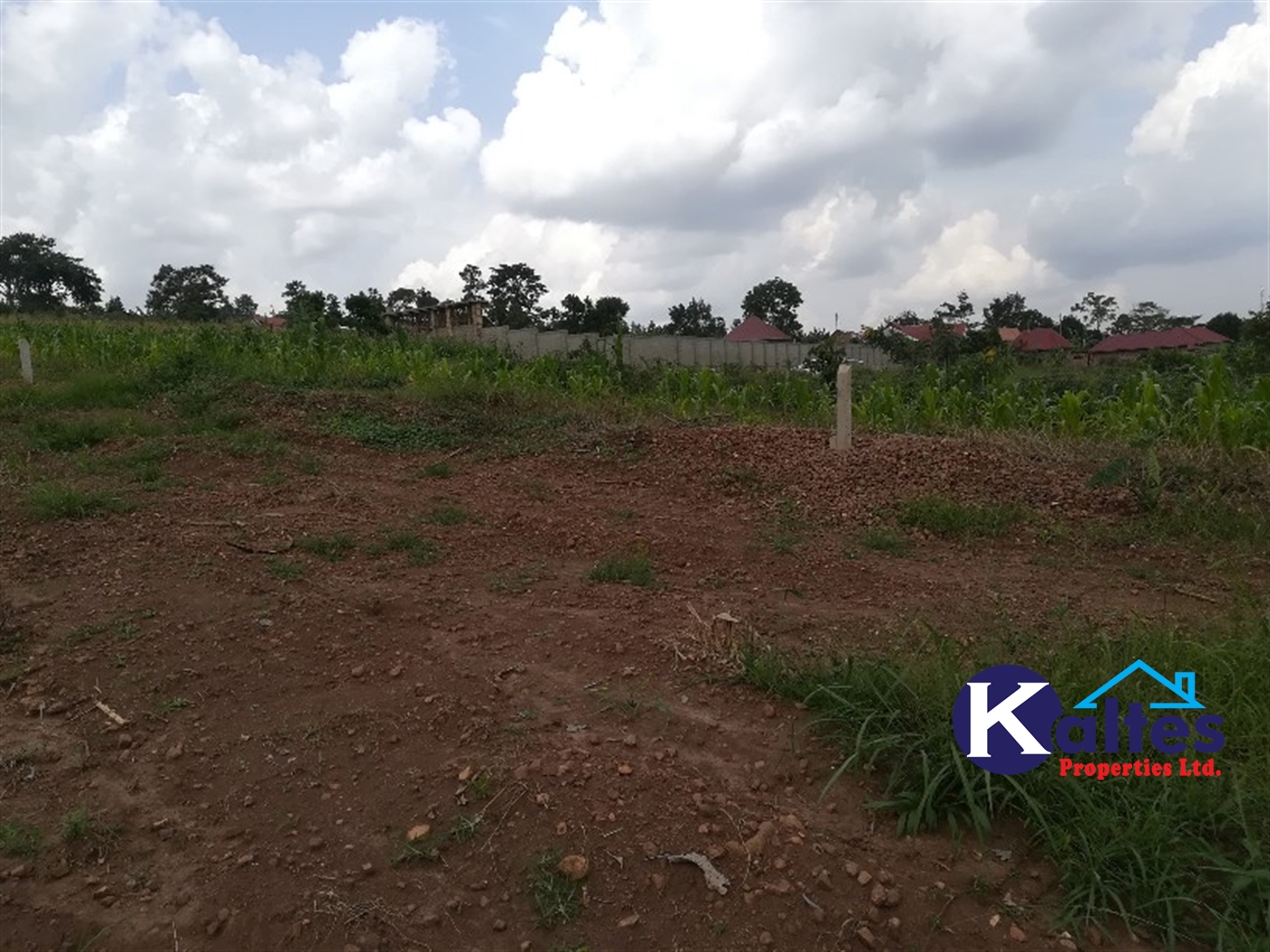 Residential Land for sale in Naggalama Mukono