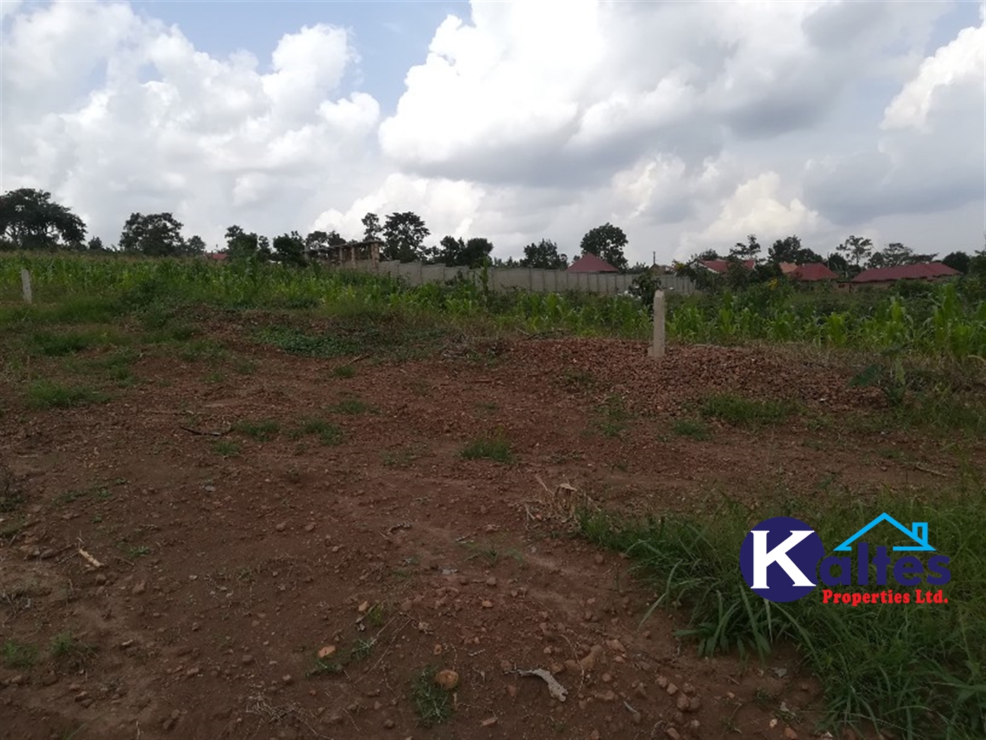 Residential Land for sale in Naggalama Mukono