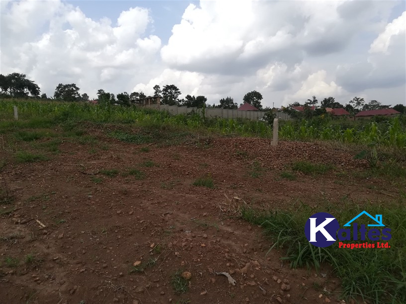 Residential Land for sale in Naggalama Mukono