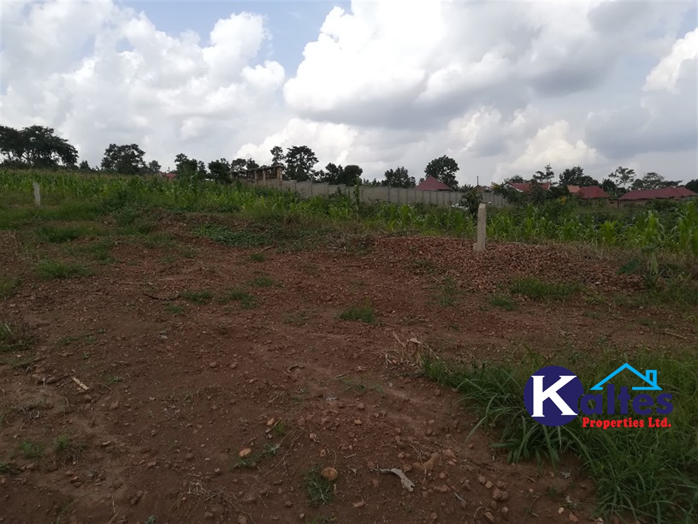 Residential Land for sale in Naggalama Mukono