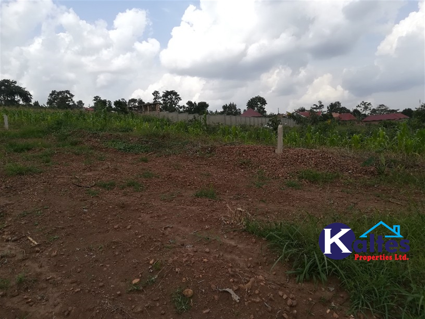 Residential Land for sale in Naggalama Mukono