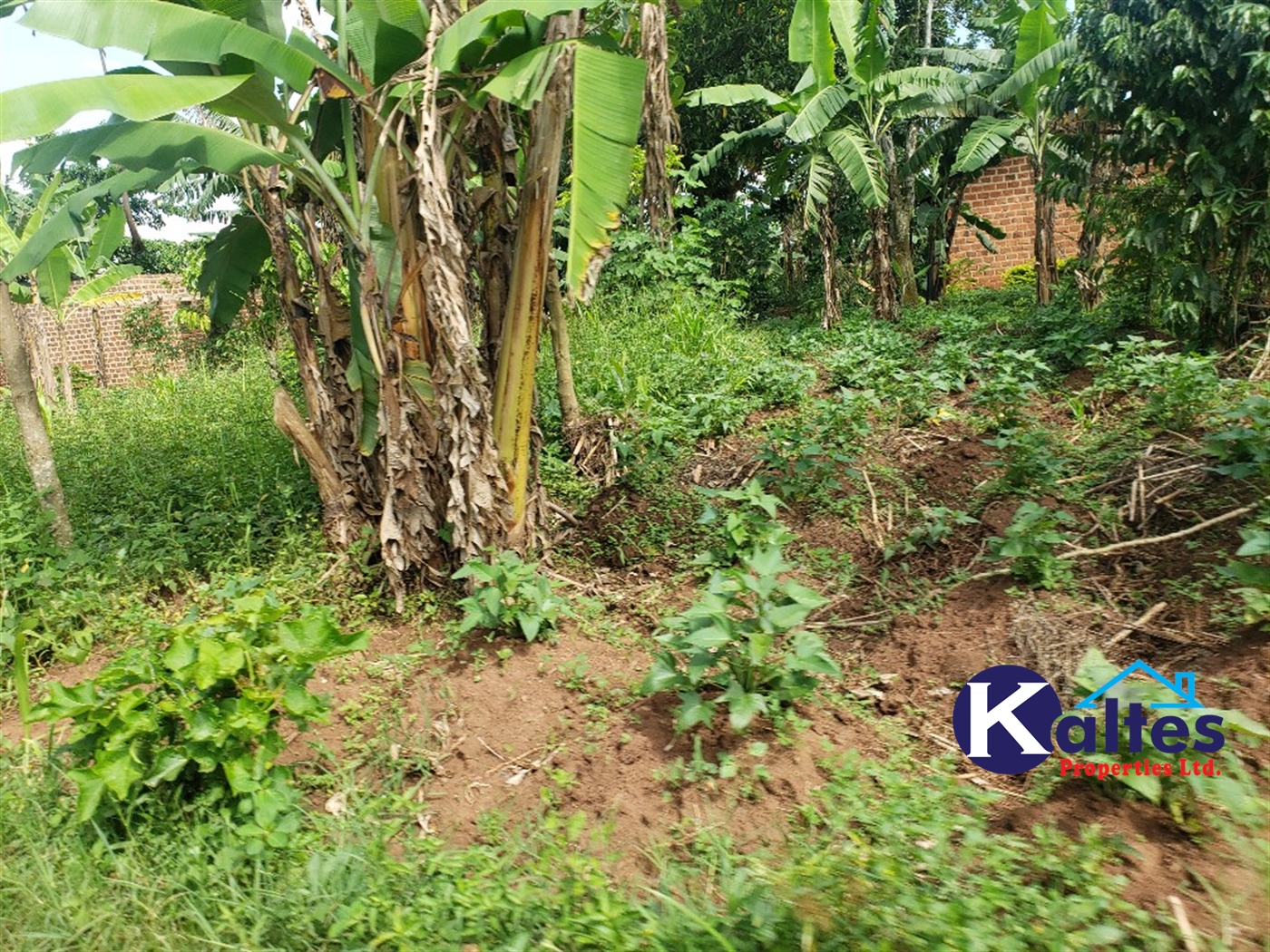 Residential Land for sale in Kiyunga Mukono