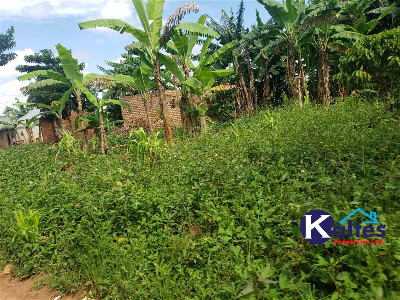 Residential Land for sale in Kiyunga Mukono