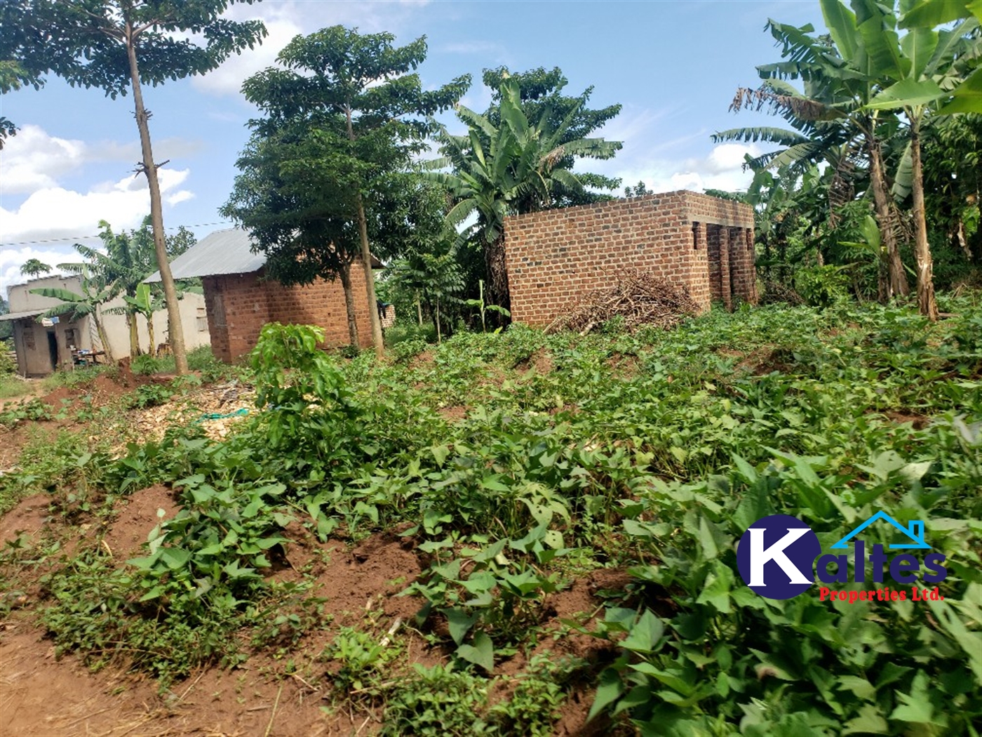 Residential Land for sale in Kiyunga Mukono