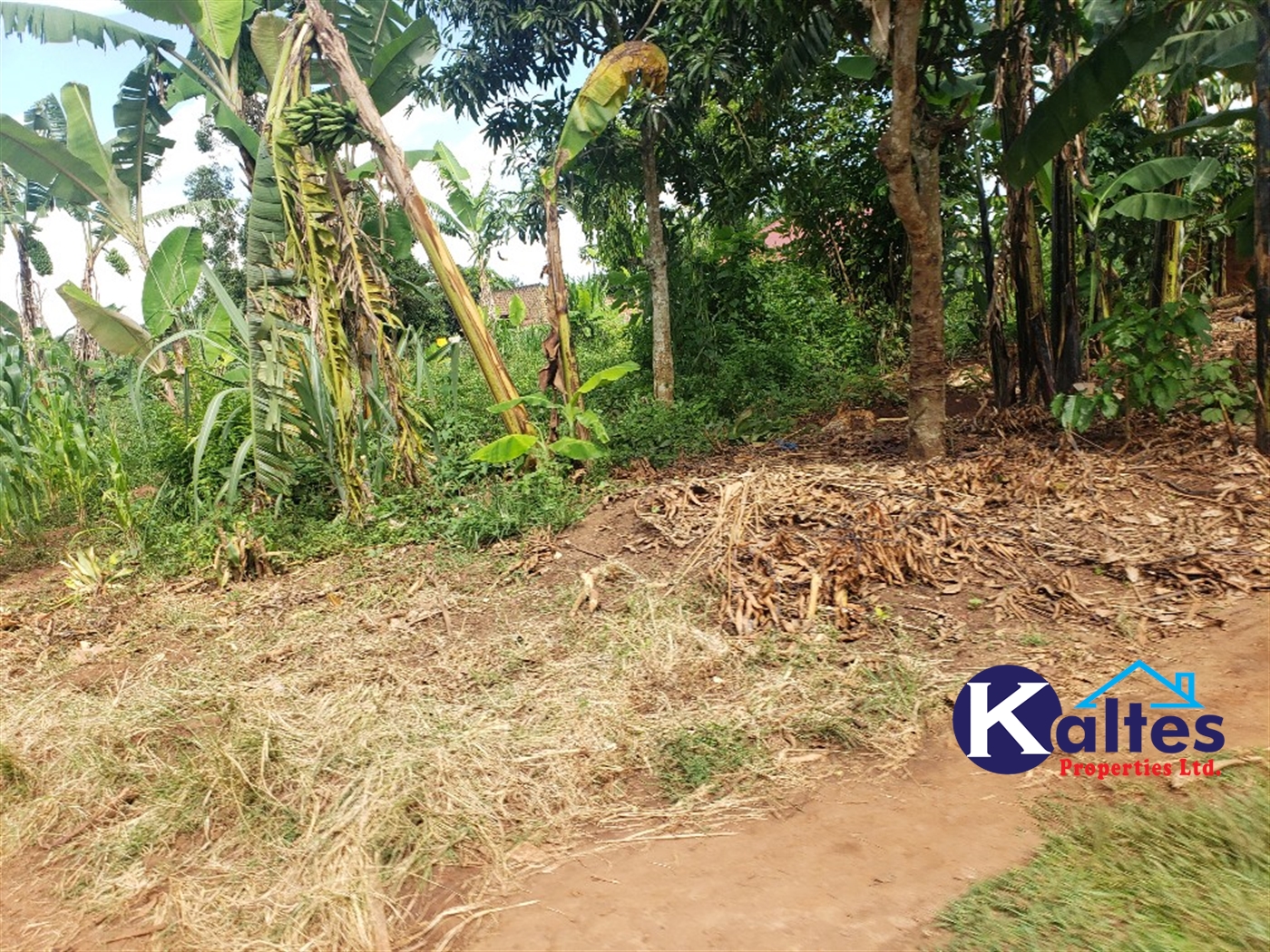 Residential Land for sale in Kiyunga Mukono