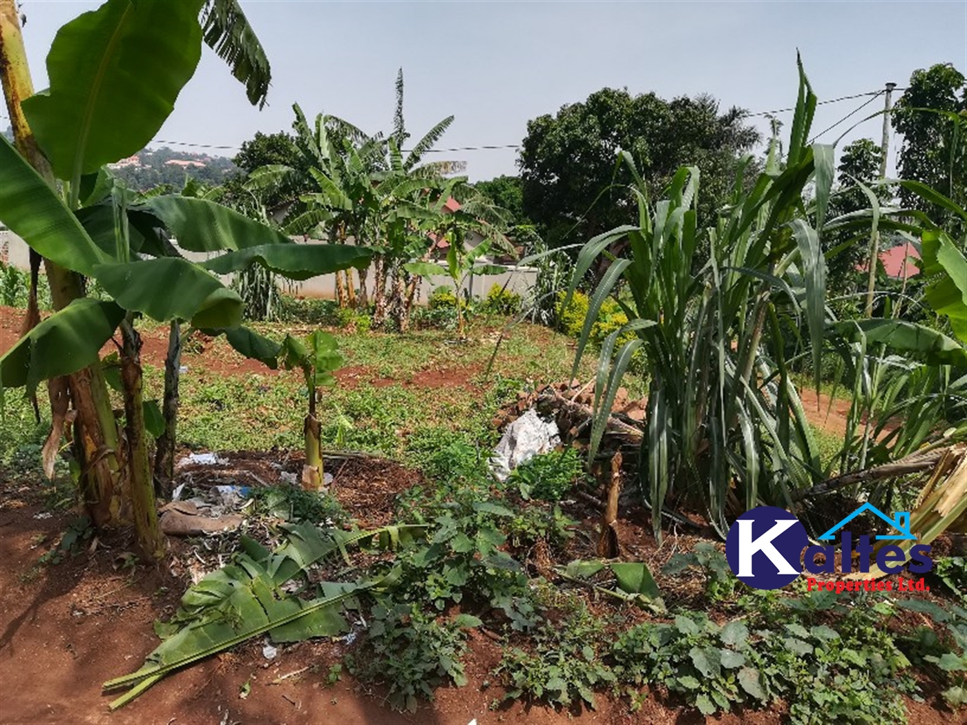 Residential Land for sale in Mpoma Mukono