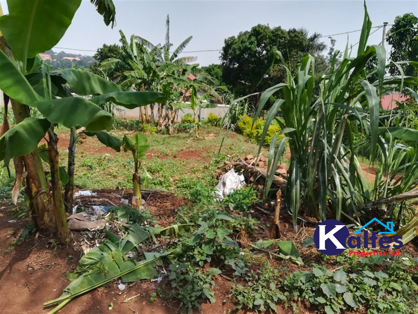 Residential Land for sale in Mpoma Mukono