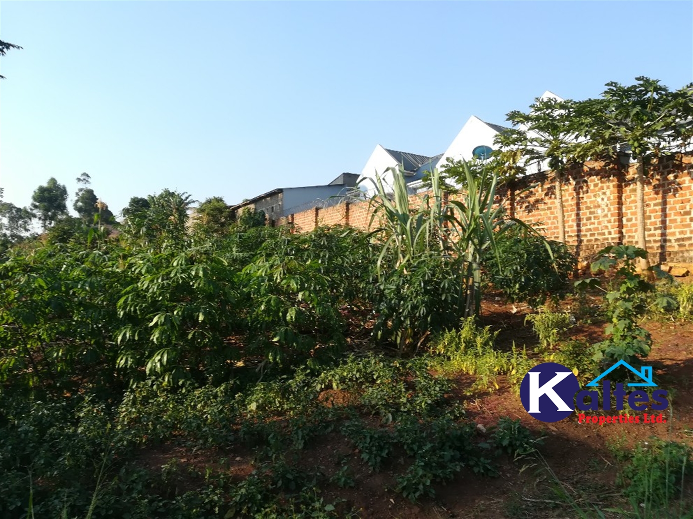 Residential Land for sale in Naama Mukono