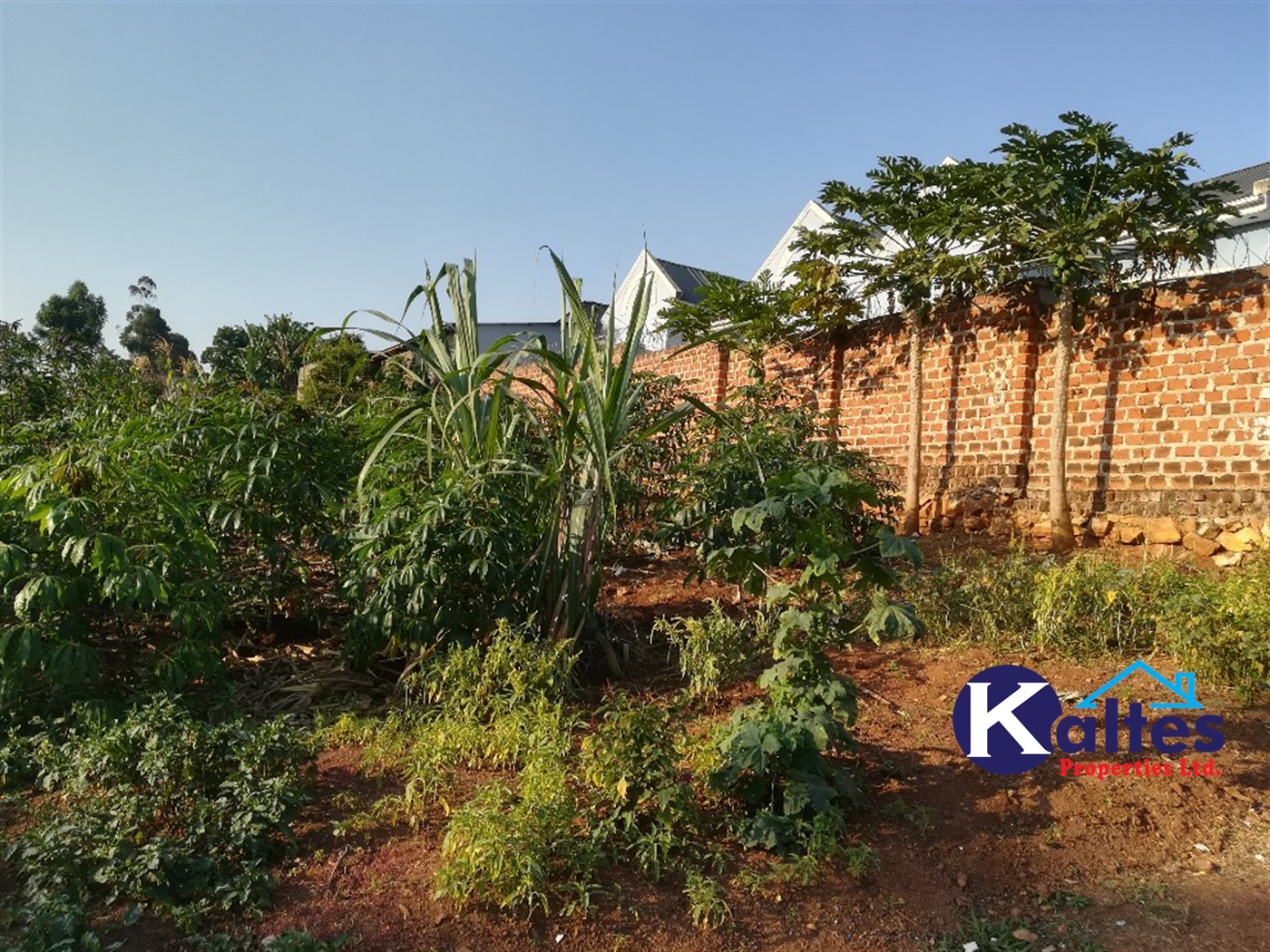 Residential Land for sale in Naama Mukono