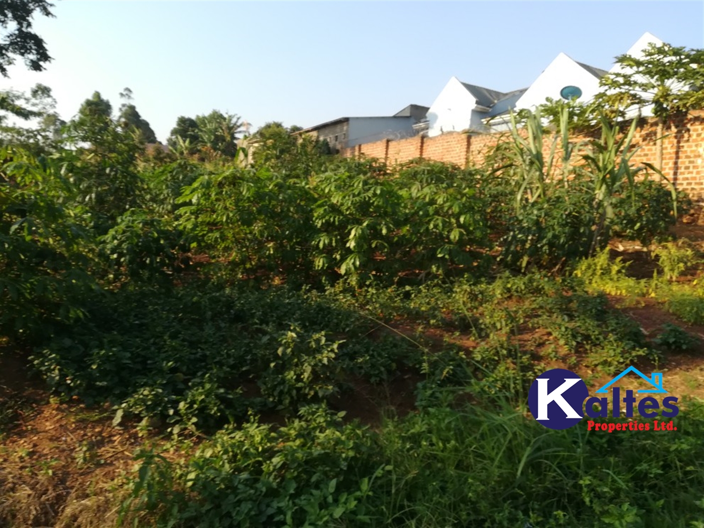 Residential Land for sale in Naama Mukono