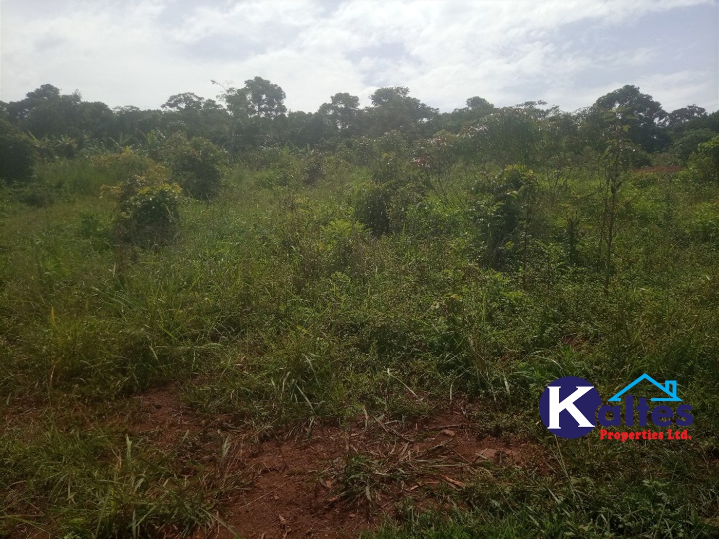 Agricultural Land for sale in Kabila Kayunga