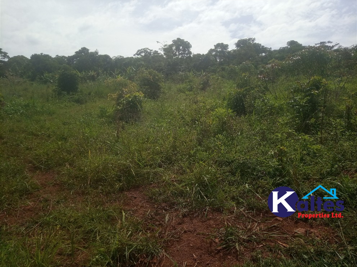 Agricultural Land for sale in Kabila Kayunga