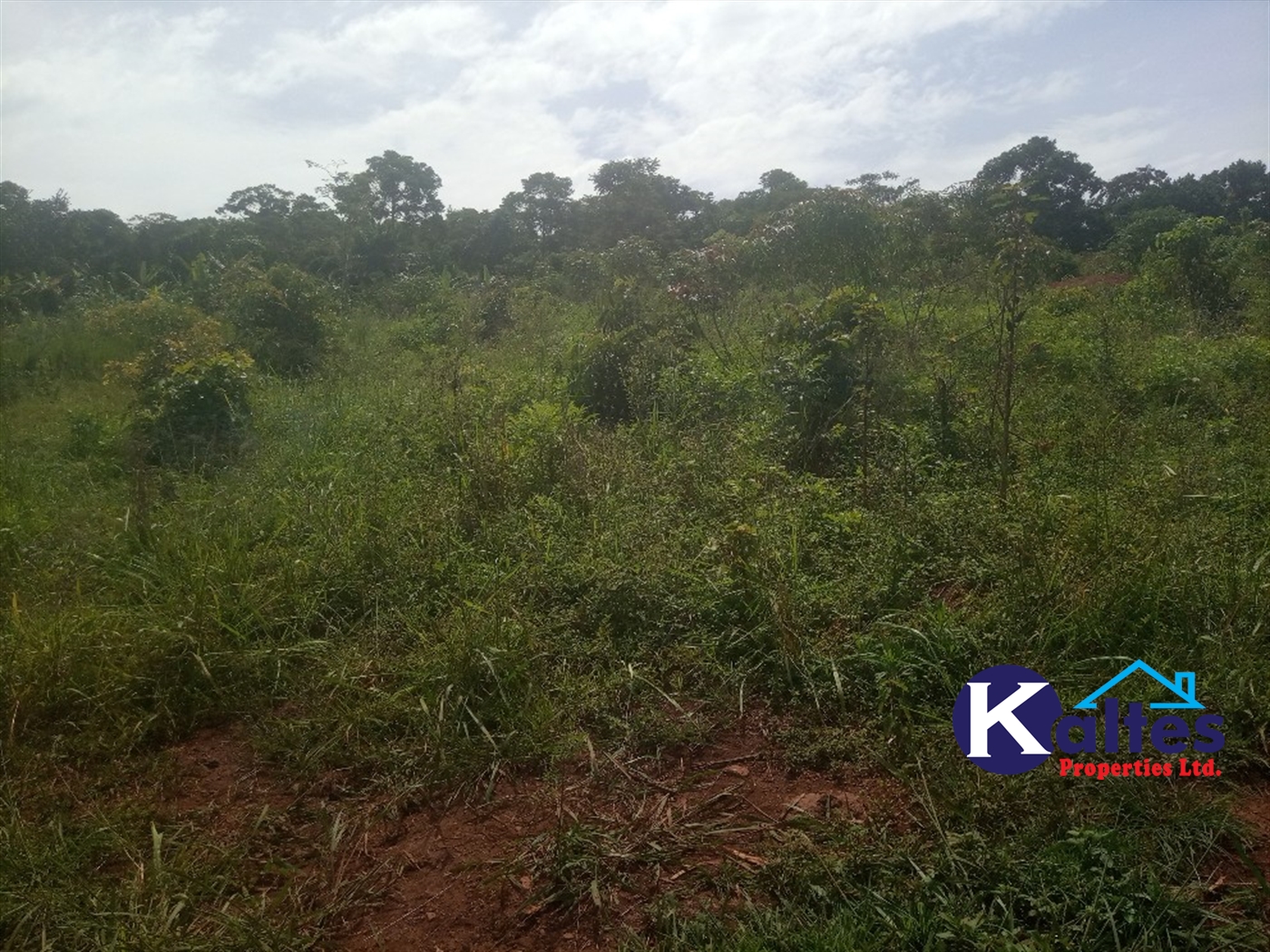 Agricultural Land for sale in Kabila Kayunga