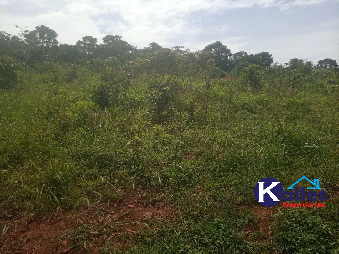 Agricultural Land for sale in Kabila Kayunga