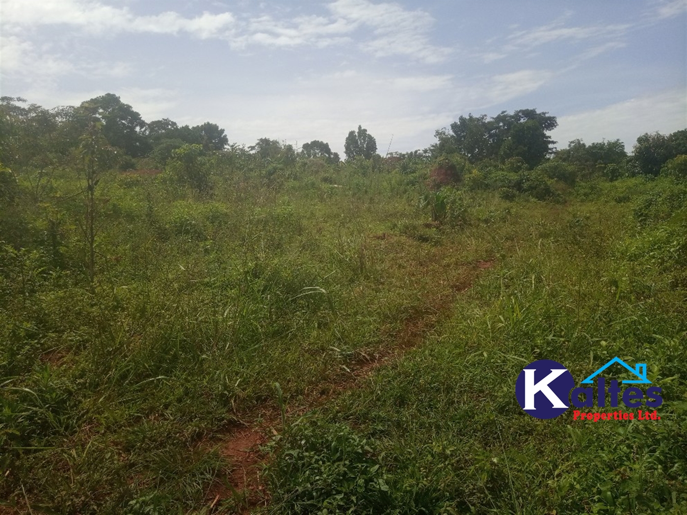 Agricultural Land for sale in Kabila Kayunga