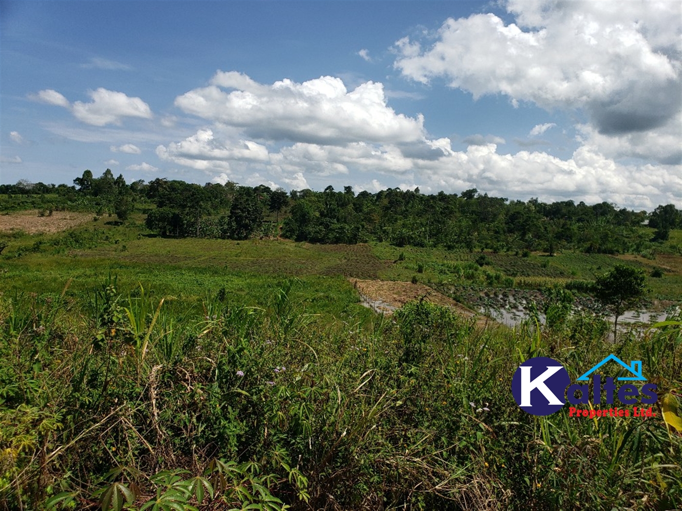 Agricultural Land for sale in Katosi Mukono