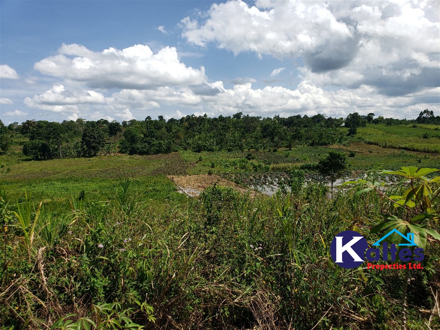 Agricultural Land for sale in Katosi Mukono