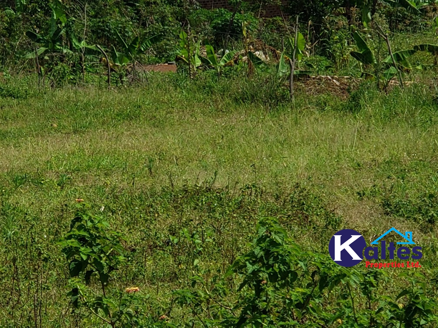 Agricultural Land for sale in Katosi Mukono