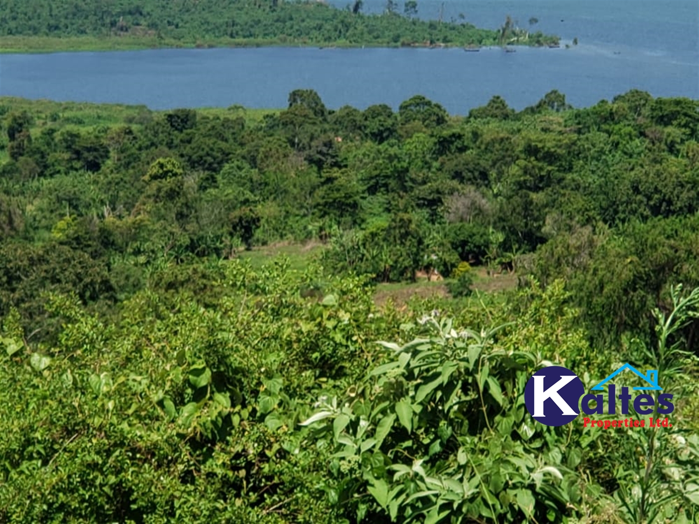 Residential Land for sale in Lugasa Buyikwe