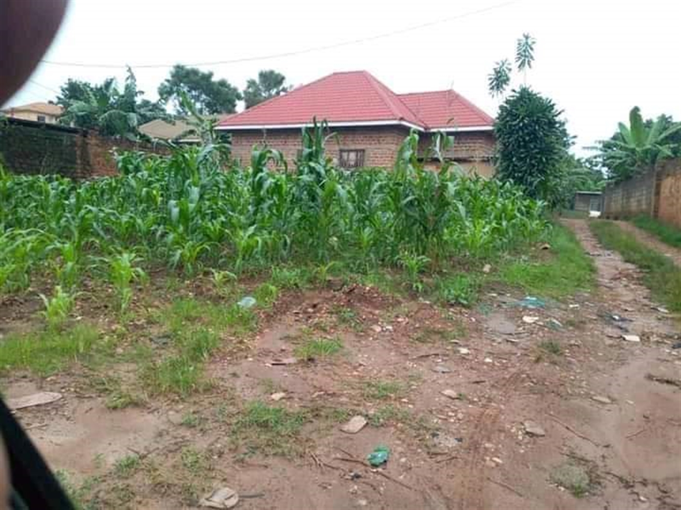 Residential Land for sale in Kyaliwajjala Wakiso