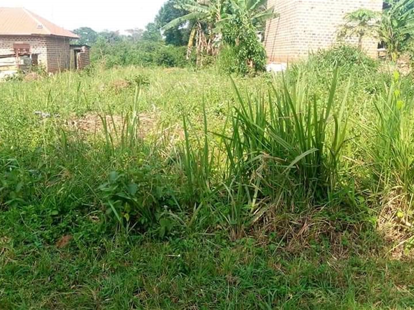 Residential Land for sale in Jjoggo Wakiso