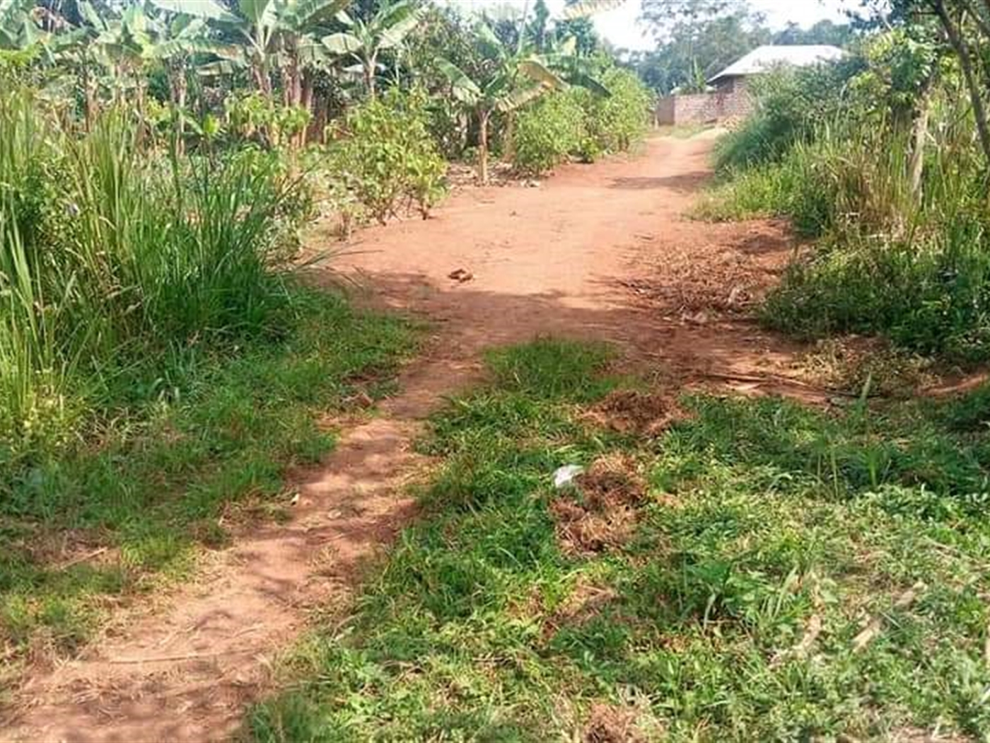 Residential Land for sale in Jjoggo Wakiso