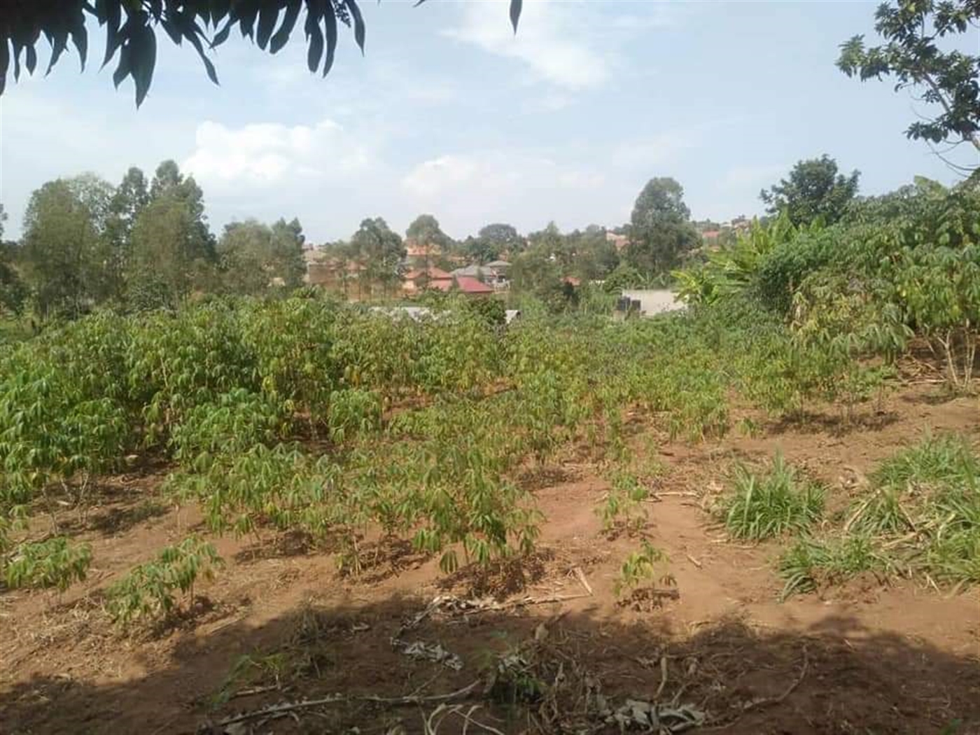 Residential Land for sale in Bwebajja Kampala