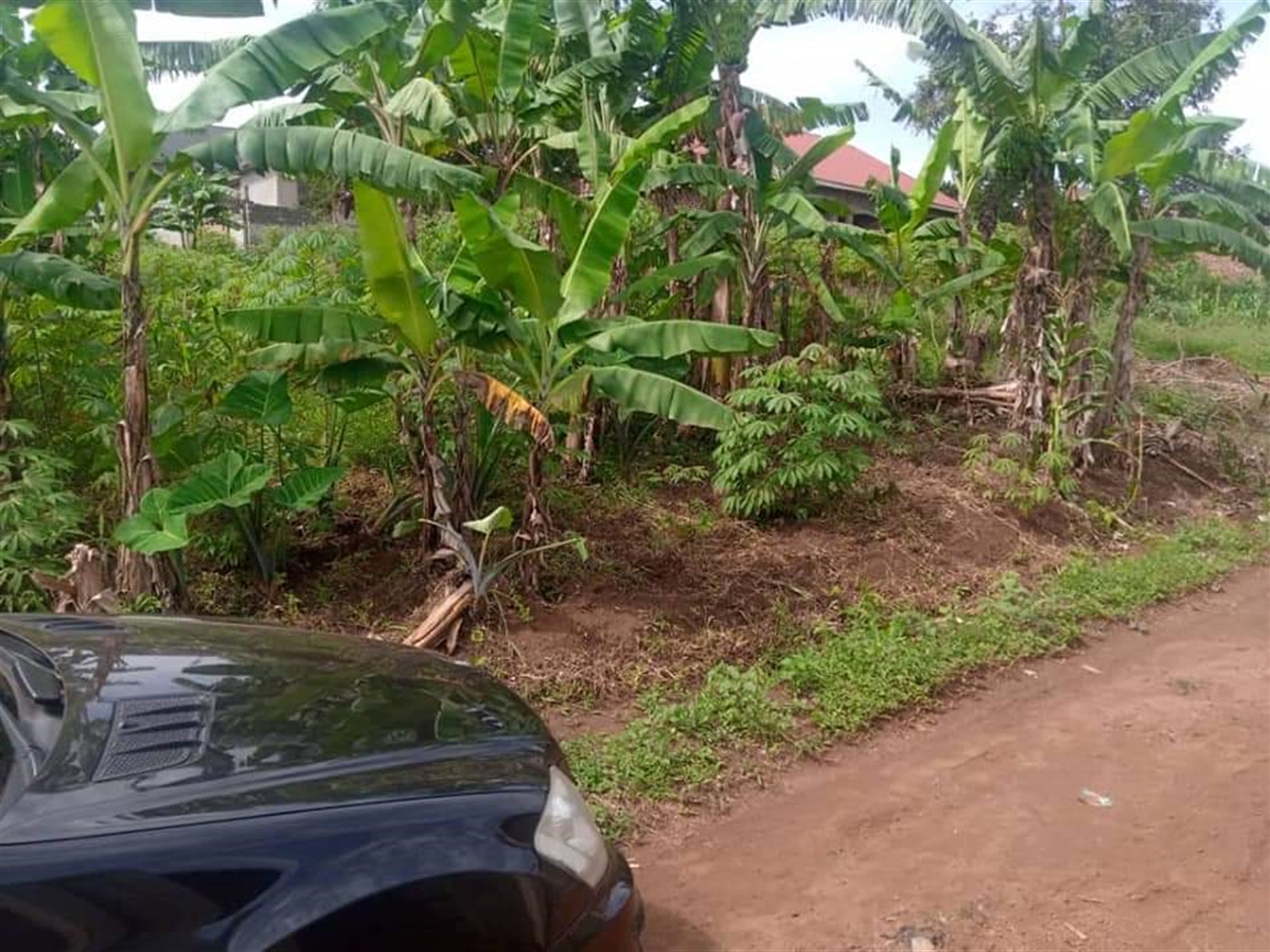 Residential Land for sale in Sonde Mukono