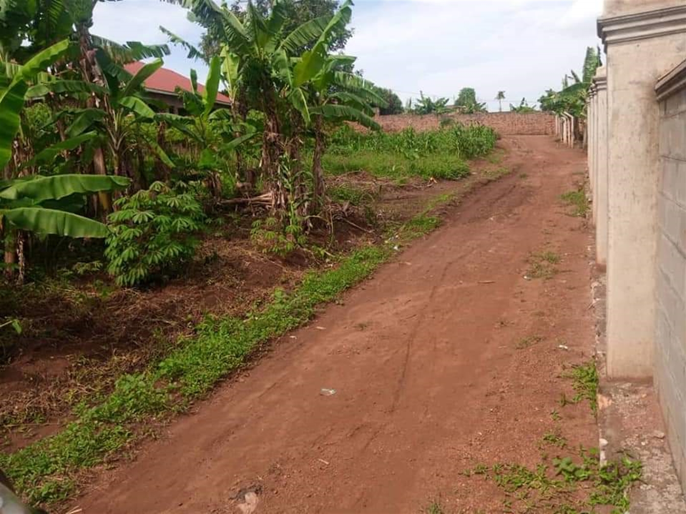 Residential Land for sale in Sonde Mukono