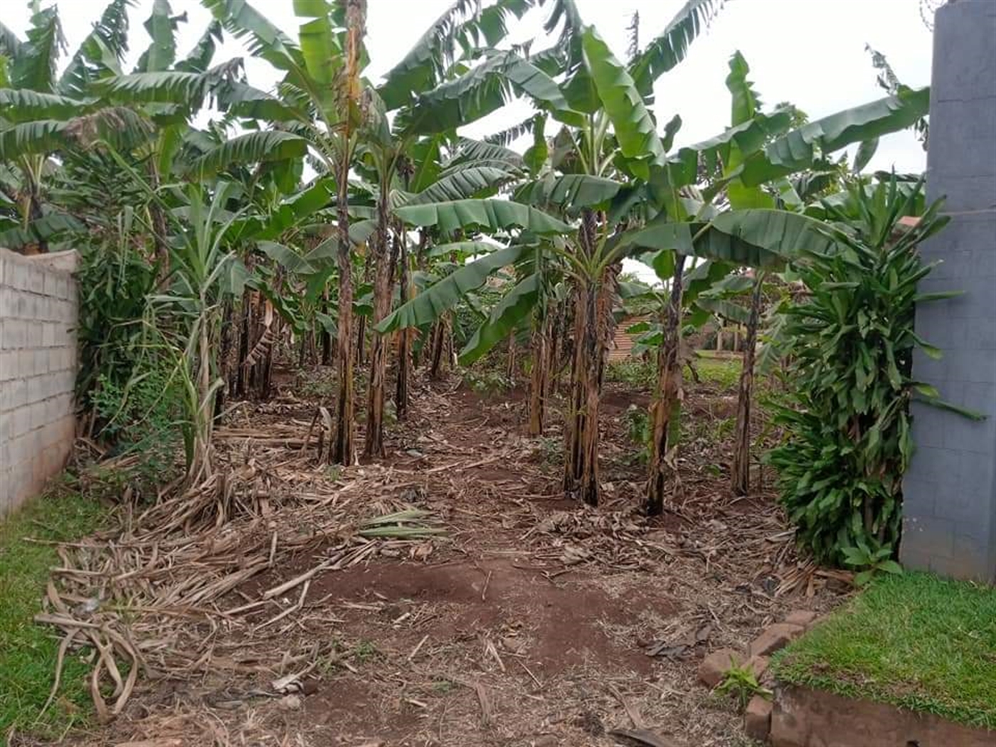 Residential Land for sale in Namugongo Wakiso